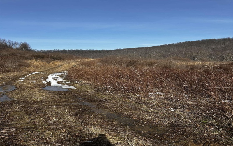 92 Coyote Lane, Belington, West Virginia 26250, ,Lots/land,For Sale,Coyote,10163412