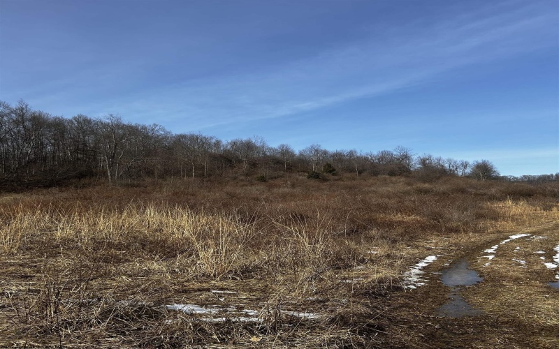 92 Coyote Lane, Belington, West Virginia 26250, ,Lots/land,For Sale,Coyote,10163412