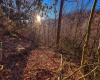 Lot 1 Iveydale Road, Clay, West Virginia 25043, ,Lots/land,For Sale,Iveydale,10163418 Lot 1 Iveydale Road, Clay, West Virginia 25043, ,Lots/land,For Sale,Iveydale,10163418