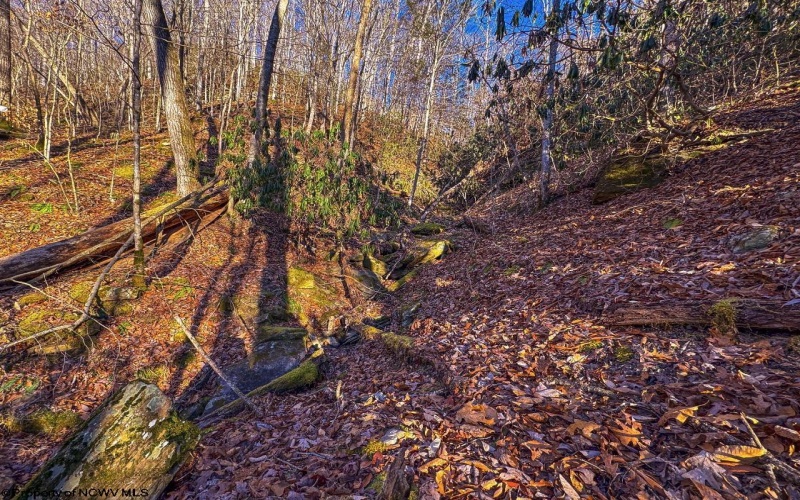 Lot 1 Iveydale Road, Clay, West Virginia 25043, ,Lots/land,For Sale,Iveydale,10163418 Lot 1 Iveydale Road, Clay, West Virginia 25043, ,Lots/land,For Sale,Iveydale,10163418