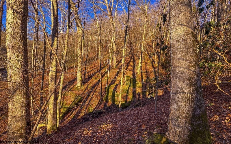 Lot 1 Iveydale Road, Clay, West Virginia 25043, ,Lots/land,For Sale,Iveydale,10163418 Lot 1 Iveydale Road, Clay, West Virginia 25043, ,Lots/land,For Sale,Iveydale,10163418