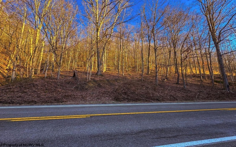 Lot 1 Iveydale Road, Clay, West Virginia 25043, ,Lots/land,For Sale,Iveydale,10163418 Lot 1 Iveydale Road, Clay, West Virginia 25043, ,Lots/land,For Sale,Iveydale,10163418