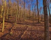 Lot 1 Iveydale Road, Clay, West Virginia 25043, ,Lots/land,For Sale,Iveydale,10163418 Lot 1 Iveydale Road, Clay, West Virginia 25043, ,Lots/land,For Sale,Iveydale,10163418