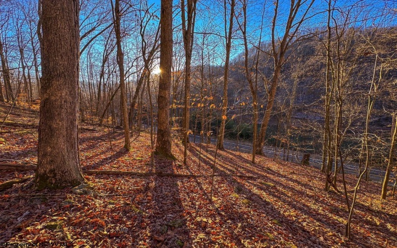 Lot 1 Iveydale Road, Clay, West Virginia 25043, ,Lots/land,For Sale,Iveydale,10163418 Lot 1 Iveydale Road, Clay, West Virginia 25043, ,Lots/land,For Sale,Iveydale,10163418