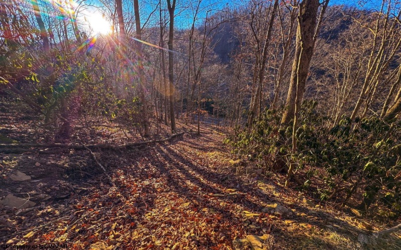 Lot 1 Iveydale Road, Clay, West Virginia 25043, ,Lots/land,For Sale,Iveydale,10163418 Lot 1 Iveydale Road, Clay, West Virginia 25043, ,Lots/land,For Sale,Iveydale,10163418