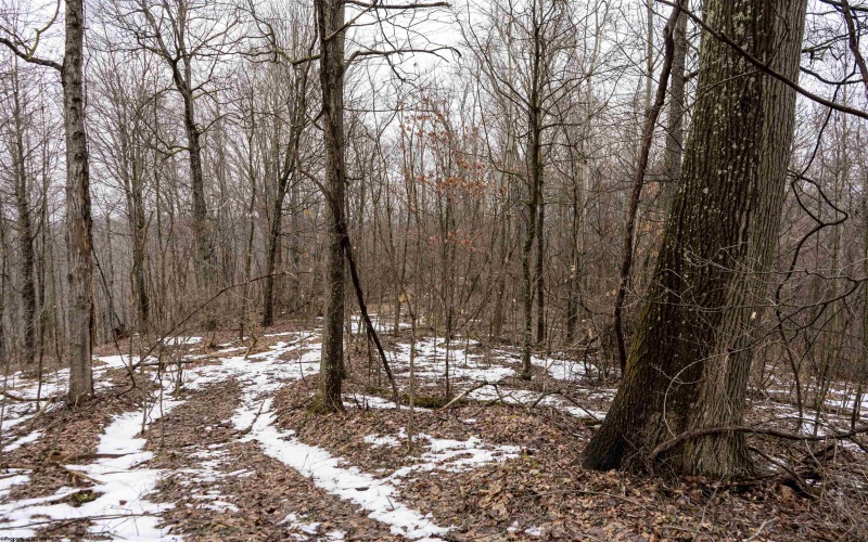 Lot 1 Huey Run Road, Mannington, West Virginia 26582, ,Lots/land,For Sale,Huey Run,10163419