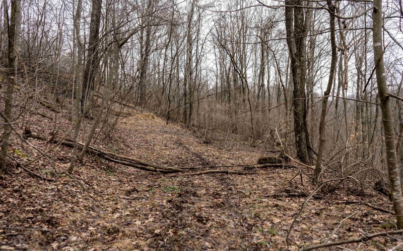 Lot 1 Huey Run Road, Mannington, West Virginia 26582, ,Lots/land,For Sale,Huey Run,10163419