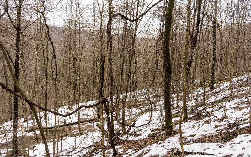 Lot 1 Huey Run Road, Mannington, West Virginia 26582, ,Lots/land,For Sale,Huey Run,10163419