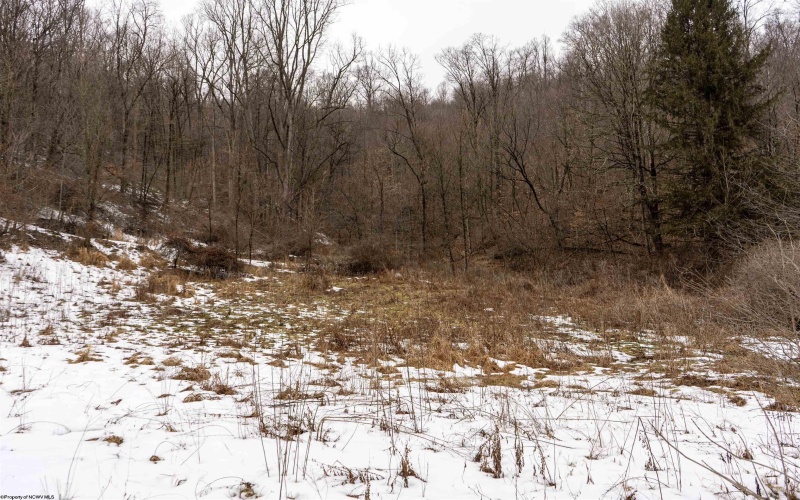 Lot 1 Huey Run Road, Mannington, West Virginia 26582, ,Lots/land,For Sale,Huey Run,10163419