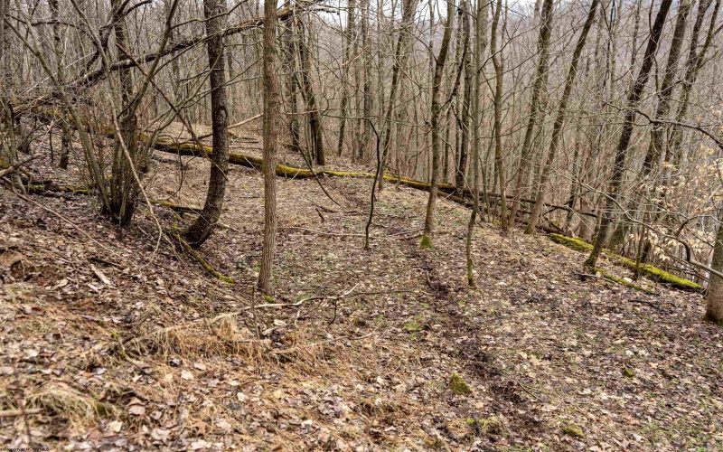 Lot 1 Huey Run Road, Mannington, West Virginia 26582, ,Lots/land,For Sale,Huey Run,10163419