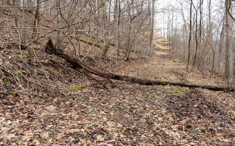 Lot 1 Huey Run Road, Mannington, West Virginia 26582, ,Lots/land,For Sale,Huey Run,10163419