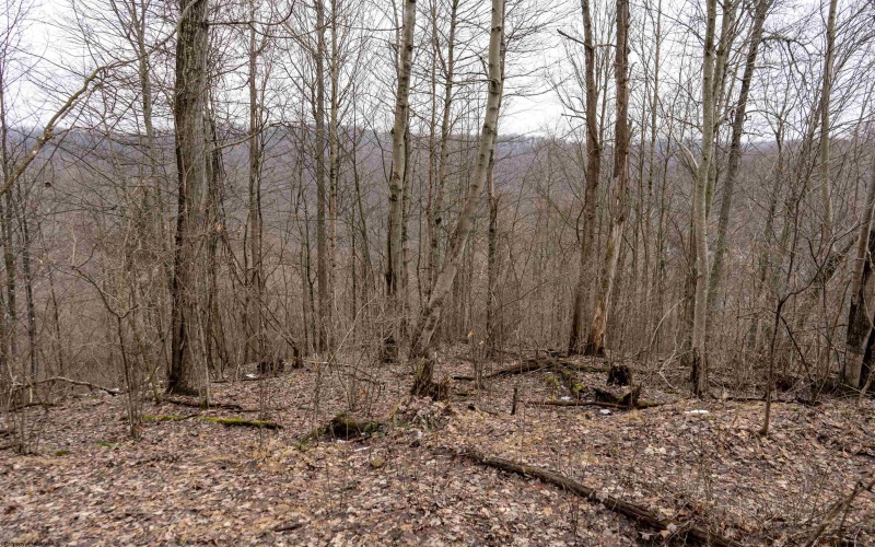 Lot 1 Huey Run Road, Mannington, West Virginia 26582, ,Lots/land,For Sale,Huey Run,10163419