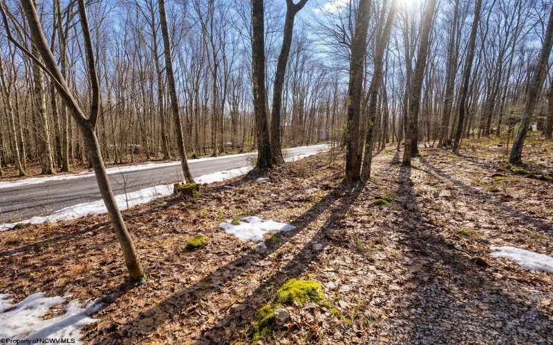 0 Redwood Drive, Terra Alta, West Virginia 26764, ,Lots/land,For Sale,Redwood,10163421 0 Redwood Drive, Terra Alta, West Virginia 26764, ,Lots/land,For Sale,Redwood,10163421