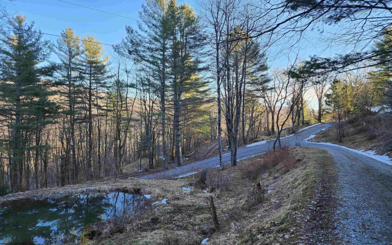 169 Wilma Lee Memorial Drive, Bowden, West Virginia 26254, ,Lots/land,For Sale,Wilma Lee Memorial,10163424