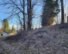 169 Wilma Lee Memorial Drive, Bowden, West Virginia 26254, ,Lots/land,For Sale,Wilma Lee Memorial,10163424