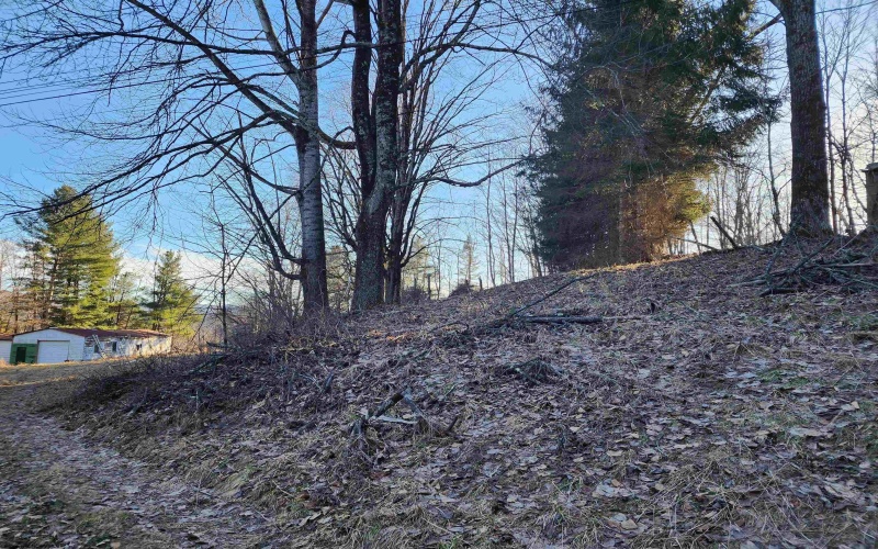 169 Wilma Lee Memorial Drive, Bowden, West Virginia 26254, ,Lots/land,For Sale,Wilma Lee Memorial,10163424