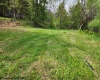 169 Wilma Lee Memorial Drive, Bowden, West Virginia 26254, ,Lots/land,For Sale,Wilma Lee Memorial,10163424