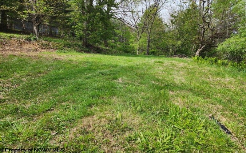 169 Wilma Lee Memorial Drive, Bowden, West Virginia 26254, ,Lots/land,For Sale,Wilma Lee Memorial,10163424