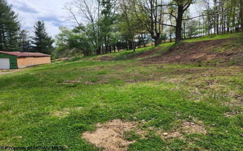 169 Wilma Lee Memorial Drive, Bowden, West Virginia 26254, ,Lots/land,For Sale,Wilma Lee Memorial,10163424