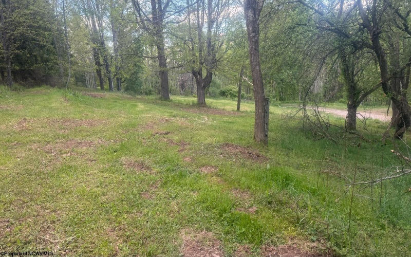 169 Wilma Lee Memorial Drive, Bowden, West Virginia 26254, ,Lots/land,For Sale,Wilma Lee Memorial,10163424
