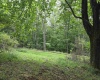 169 Wilma Lee Memorial Drive, Bowden, West Virginia 26254, 0 , 0 ,0,Lots/land,For Sale,Wilma Lee Memorial,0,10163424