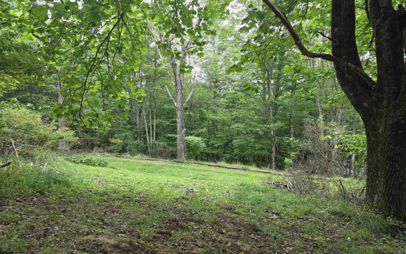 169 Wilma Lee Memorial Drive, Bowden, West Virginia 26254, 0 , 0 ,0,Lots/land,For Sale,Wilma Lee Memorial,0,10163424