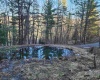169 Wilma Lee Memorial Drive, Bowden, West Virginia 26254, 0 , 0 ,0,Lots/land,For Sale,Wilma Lee Memorial,0,10163424
