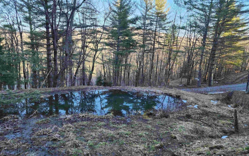 169 Wilma Lee Memorial Drive, Bowden, West Virginia 26254, 0 , 0 ,0,Lots/land,For Sale,Wilma Lee Memorial,0,10163424