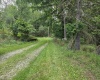 169 Wilma Lee Memorial Drive, Bowden, West Virginia 26254, 0 , 0 ,0,Lots/land,For Sale,Wilma Lee Memorial,0,10163424