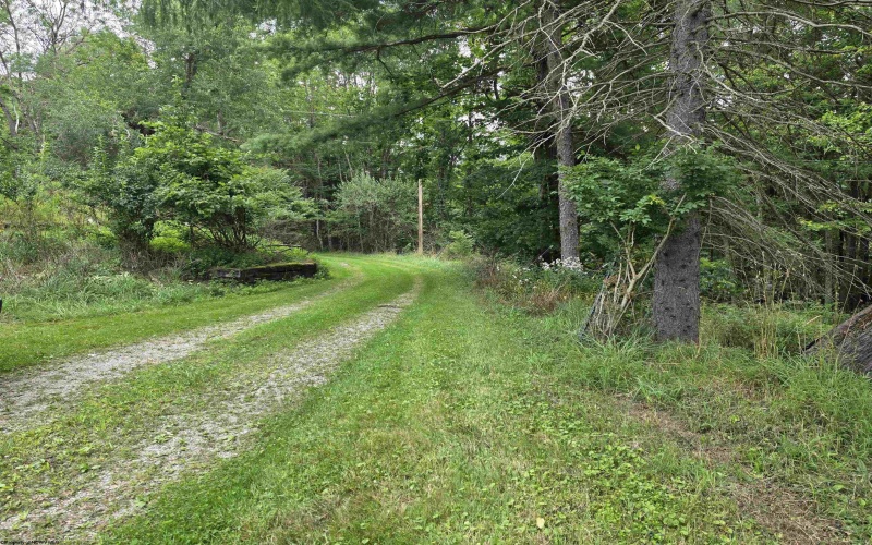 169 Wilma Lee Memorial Drive, Bowden, West Virginia 26254, 0 , 0 ,0,Lots/land,For Sale,Wilma Lee Memorial,0,10163424