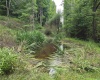 169 Wilma Lee Memorial Drive, Bowden, West Virginia 26254, 0 , 0 ,0,Lots/land,For Sale,Wilma Lee Memorial,0,10163424