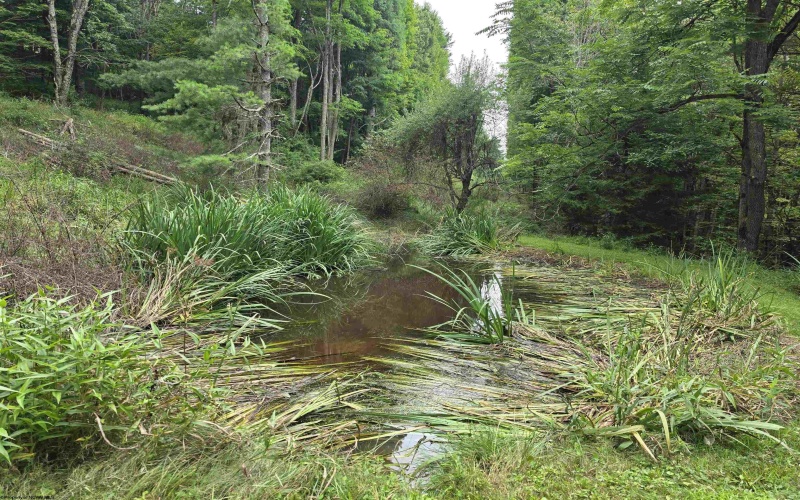 169 Wilma Lee Memorial Drive, Bowden, West Virginia 26254, 0 , 0 ,0,Lots/land,For Sale,Wilma Lee Memorial,0,10163424