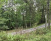 169 Wilma Lee Memorial Drive, Bowden, West Virginia 26254, 0 , 0 ,0,Lots/land,For Sale,Wilma Lee Memorial,0,10163424