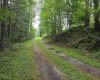 169 Wilma Lee Memorial Drive, Bowden, West Virginia 26254, 0 , 0 ,0,Lots/land,For Sale,Wilma Lee Memorial,0,10163424