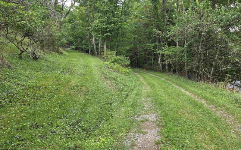 169 Wilma Lee Memorial Drive, Bowden, West Virginia 26254, 0 , 0 ,0,Lots/land,For Sale,Wilma Lee Memorial,0,10163424