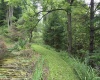 169 Wilma Lee Memorial Drive, Bowden, West Virginia 26254, 0 , 0 ,0,Lots/land,For Sale,Wilma Lee Memorial,0,10163424