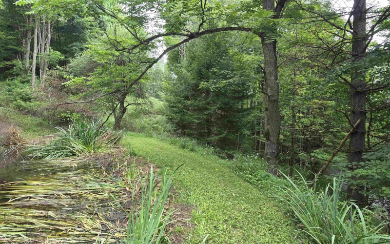 169 Wilma Lee Memorial Drive, Bowden, West Virginia 26254, 0 , 0 ,0,Lots/land,For Sale,Wilma Lee Memorial,0,10163424