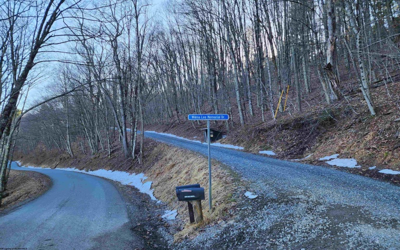 169 Wilma Lee Memorial Drive, Bowden, West Virginia 26254, ,Lots/land,For Sale,Wilma Lee Memorial,10163424 169 Wilma Lee Memorial Drive, Bowden, West Virginia 26254, ,Lots/land,For Sale,Wilma Lee Memorial,10163424