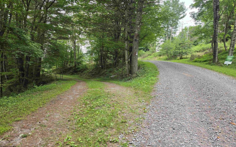 169 Wilma Lee Memorial Drive, Bowden, West Virginia 26254, 0 , 0 ,0,Lots/land,For Sale,Wilma Lee Memorial,0,10163424
