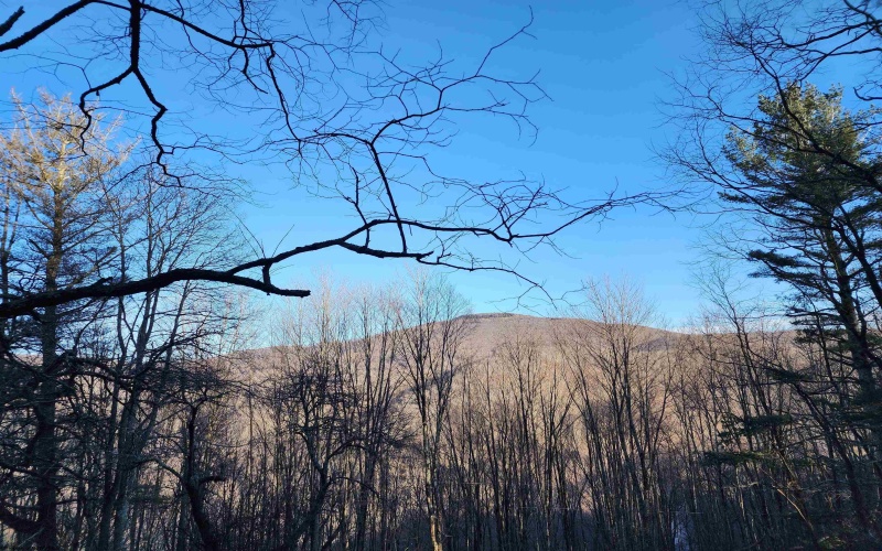 169 Wilma Lee Memorial Drive, Bowden, West Virginia 26254, 0 , 0 ,0,Lots/land,For Sale,Wilma Lee Memorial,0,10163424