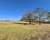 TBD Pearcy Avenue, Bridgeport, West Virginia 26330, ,Lots/land,For Sale,Pearcy,10163428
