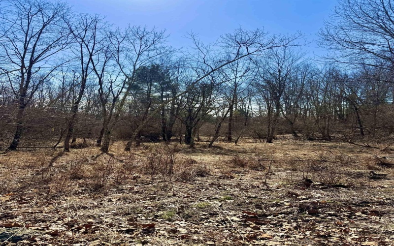 TBD Pearcy Avenue, Bridgeport, West Virginia 26330, ,Lots/land,For Sale,Pearcy,10163428