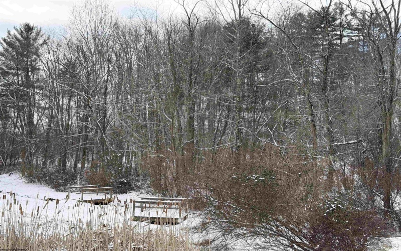 TBD Pearcy Avenue, Bridgeport, West Virginia 26330, ,Lots/land,For Sale,Pearcy,10163428