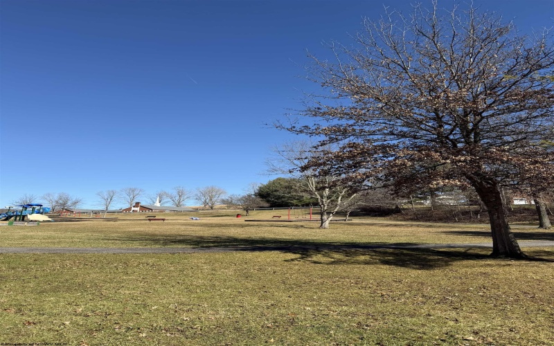 TBD Pearcy Avenue, Bridgeport, West Virginia 26330, ,Lots/land,For Sale,Pearcy,10163428