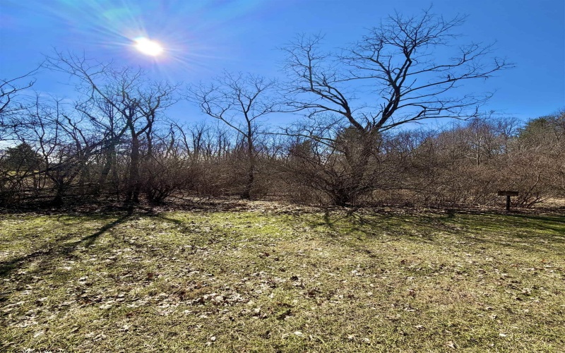 TBD Pearcy Avenue, Bridgeport, West Virginia 26330, ,Lots/land,For Sale,Pearcy,10163428