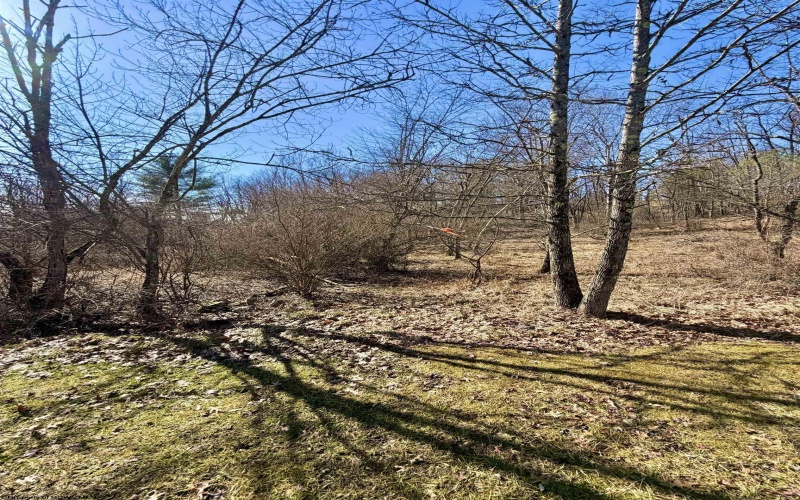 TBD Pearcy Avenue, Bridgeport, West Virginia 26330, ,Lots/land,For Sale,Pearcy,10163428