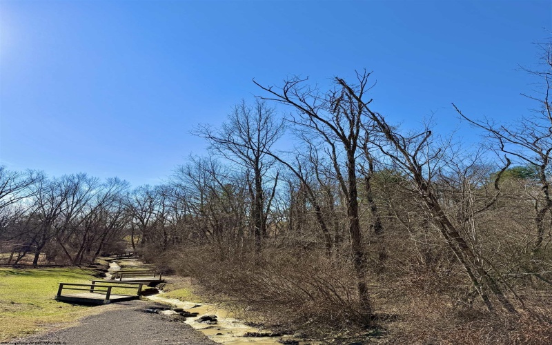 TBD Pearcy Avenue, Bridgeport, West Virginia 26330, ,Lots/land,For Sale,Pearcy,10163428