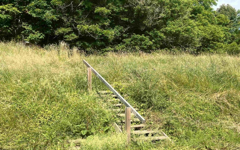 7337 Old Mill Road, Jane Lew, West Virginia 26378, ,Lots/land,For Sale,Old Mill,10163446