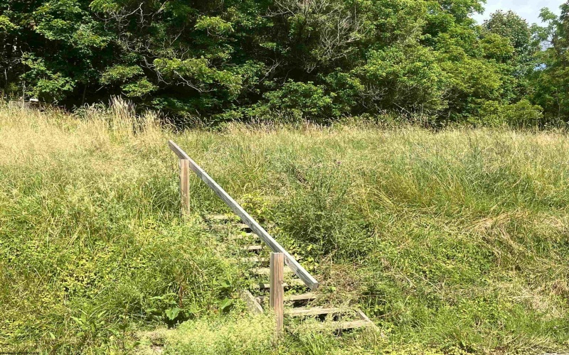 7337 Old Mill Road, Jane Lew, West Virginia 26378, ,Lots/land,For Sale,Old Mill,10163446