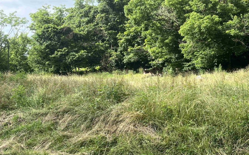 7337 Old Mill Road, Jane Lew, West Virginia 26378, ,Lots/land,For Sale,Old Mill,10163446